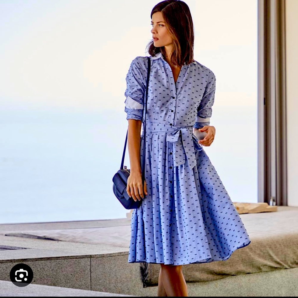 Brooks Brothers clip dot shirt dress